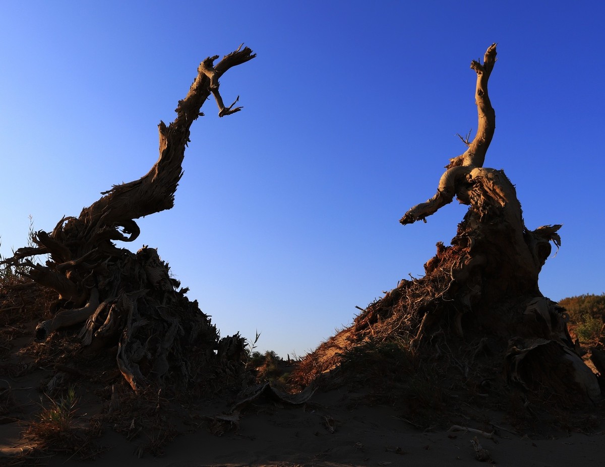 貌似进入了失落的世界（4）