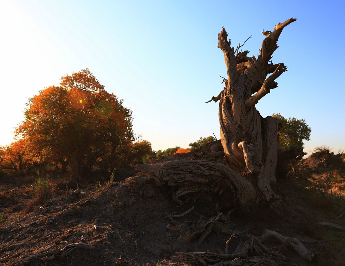 貌似进入了失落的世界（4）