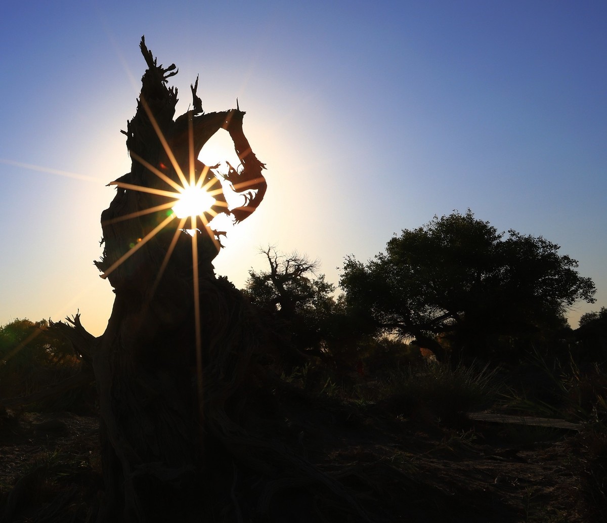 貌似进入了失落的世界（4）