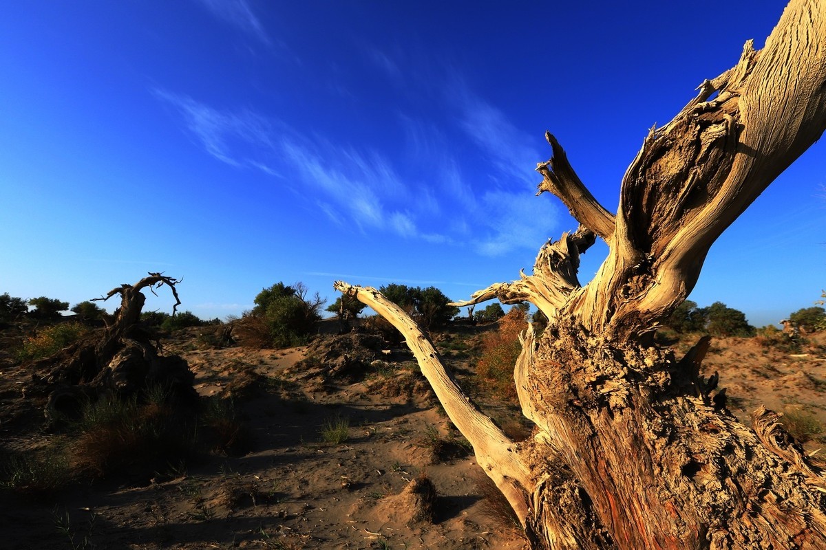貌似进入了失落的世界（4）