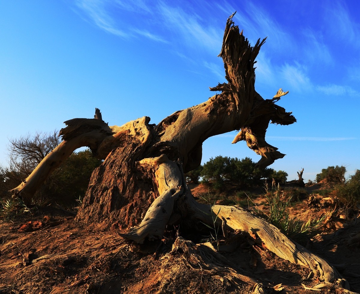 貌似进入了失落的世界（4）