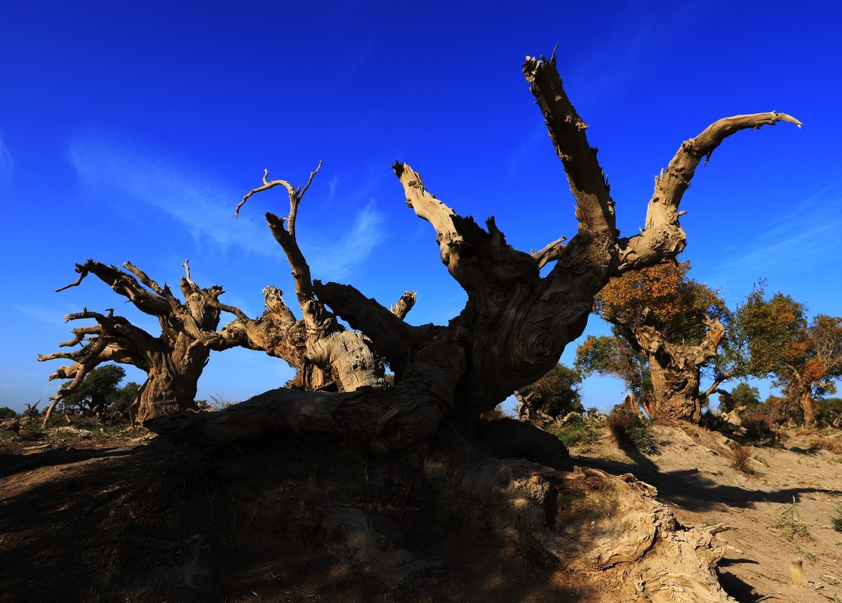 貌似进入了失落的世界（4）