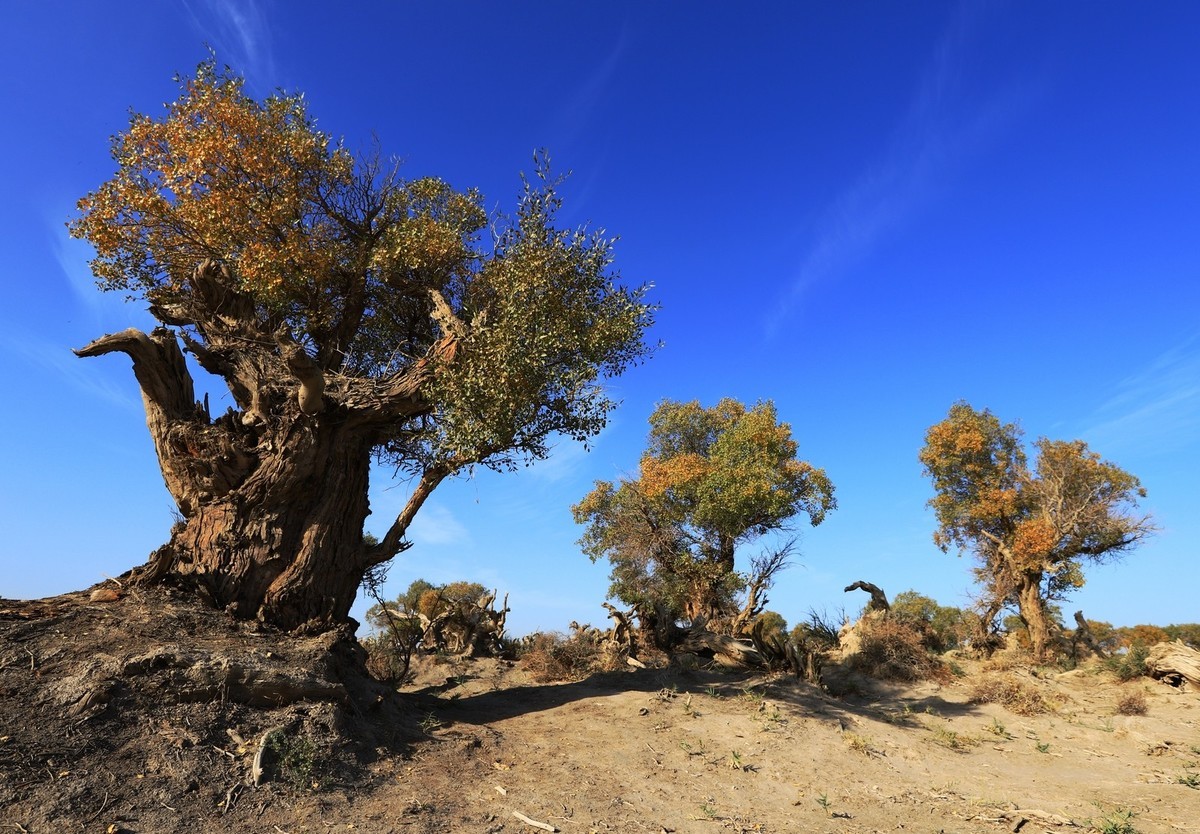 貌似进入了失落的世界（4）
