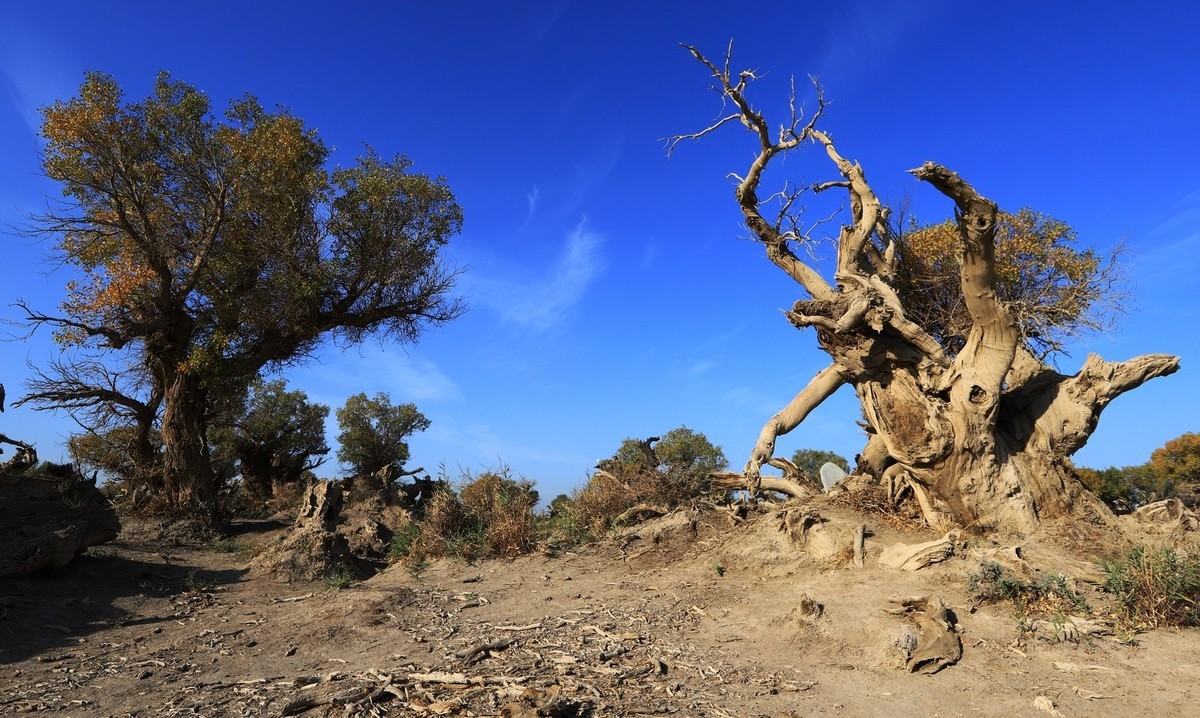 貌似进入了失落的世界（4）