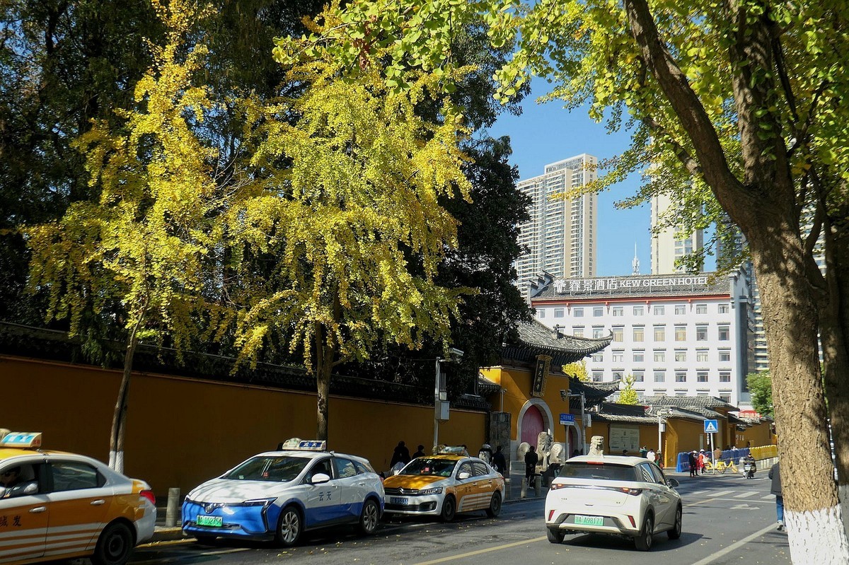 归元寺风光与银杏四