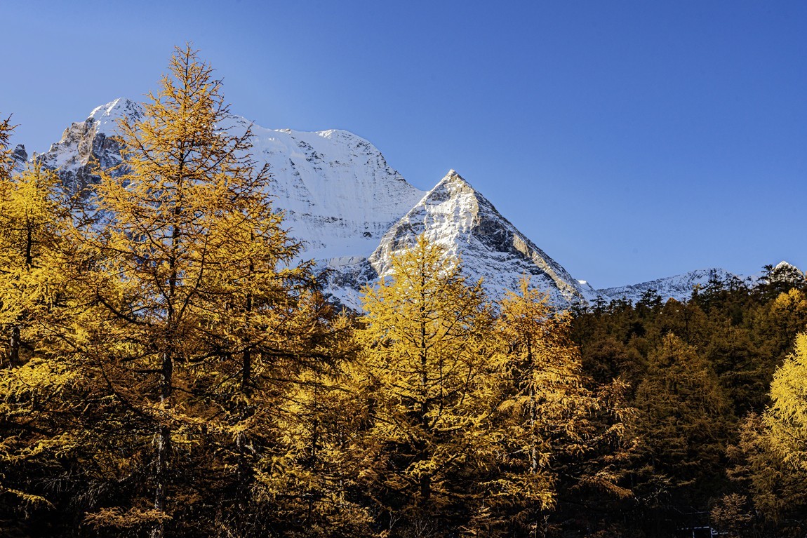 仙乃日--稻城亚丁三神山之首【6】