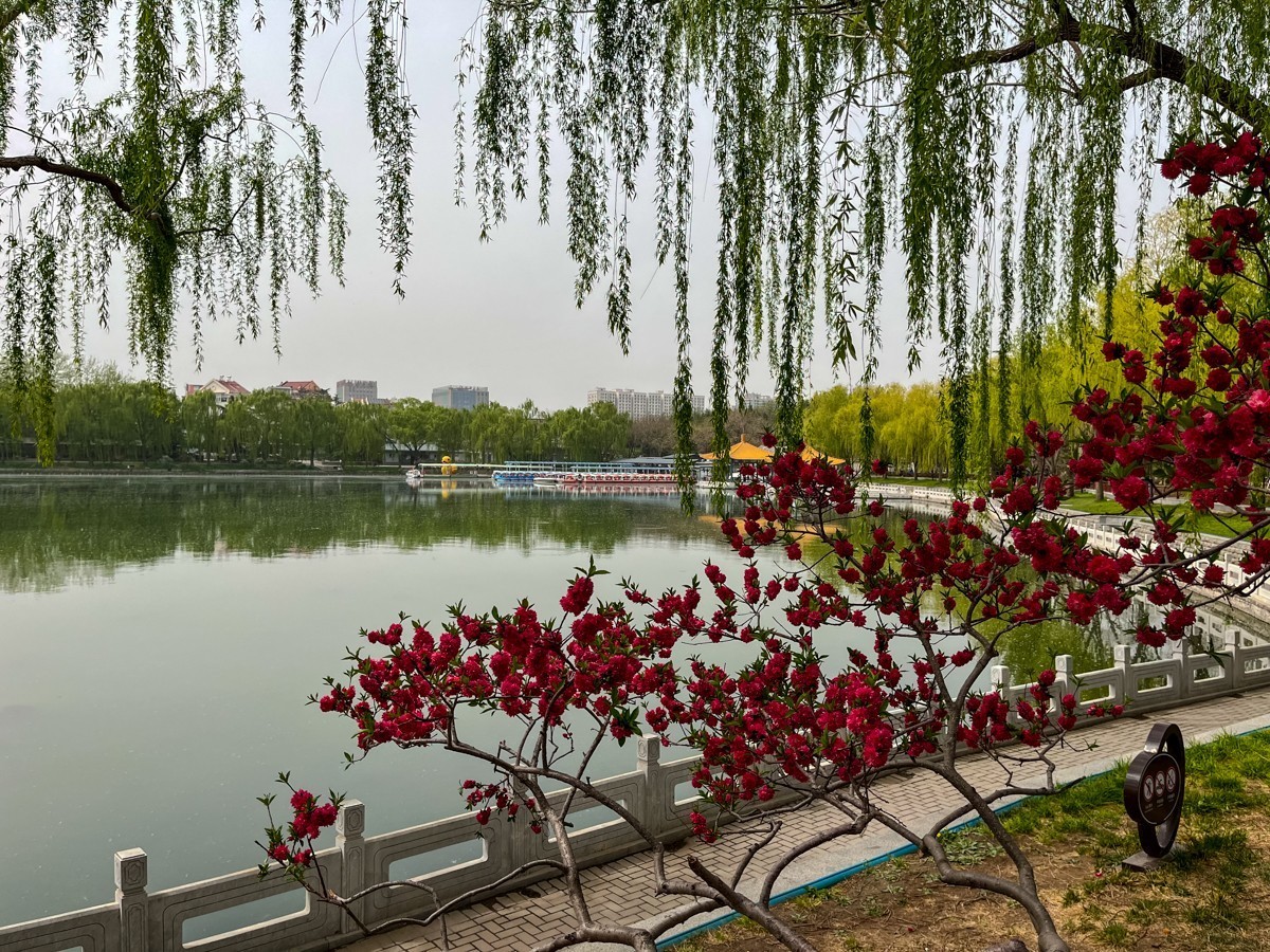 2023年第0246贴-陶然亭公园纪实抓拍（0413F）