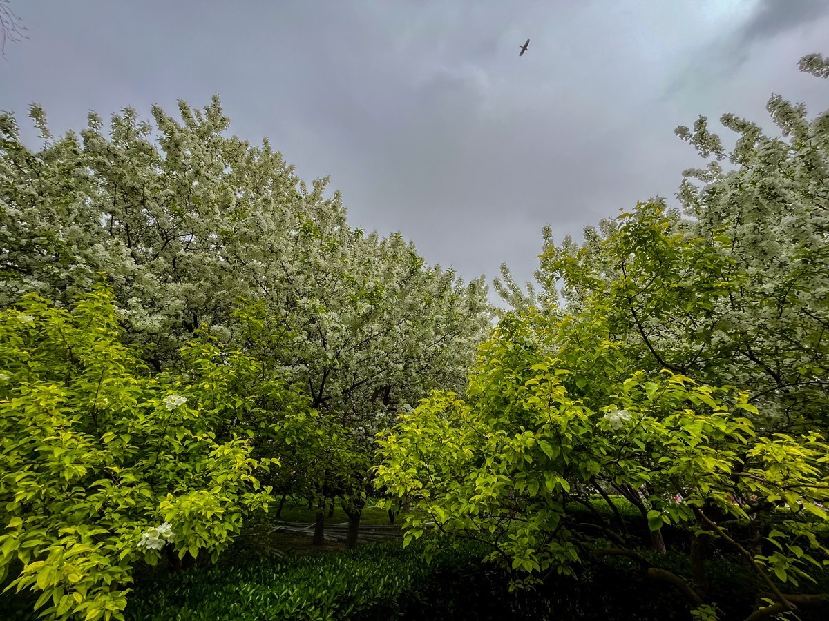 2023年第0246贴-陶然亭公园纪实抓拍（0413F）