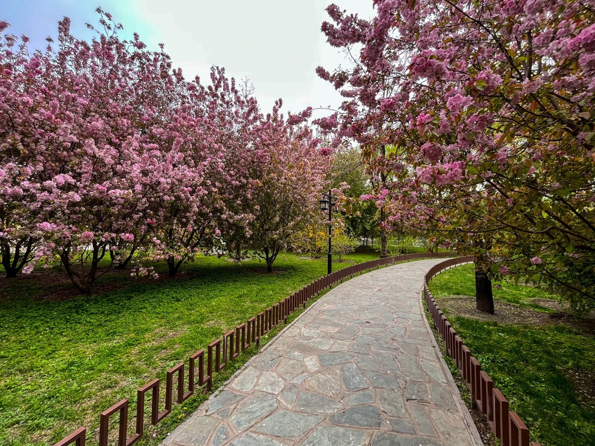 2023年第0246贴-陶然亭公园纪实抓拍（0413F）