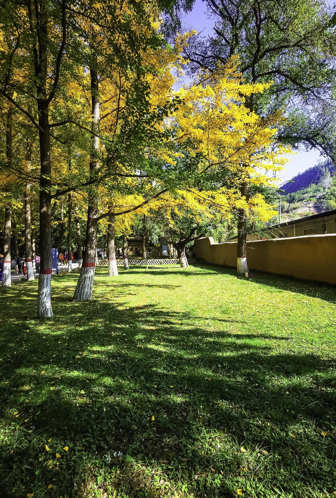 延安枣园旧址（消假帖）