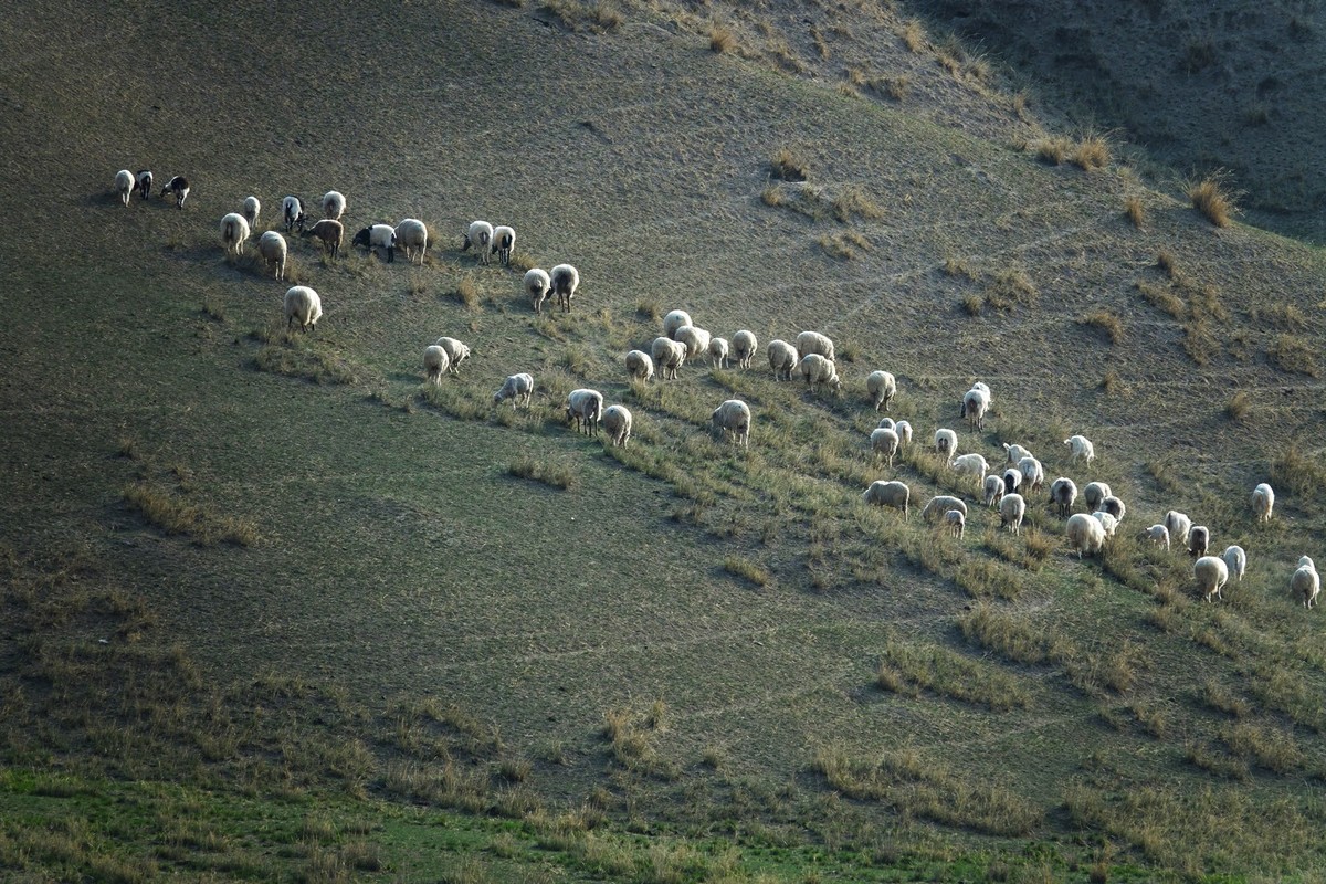 路过祁连山巴尔斯雪山