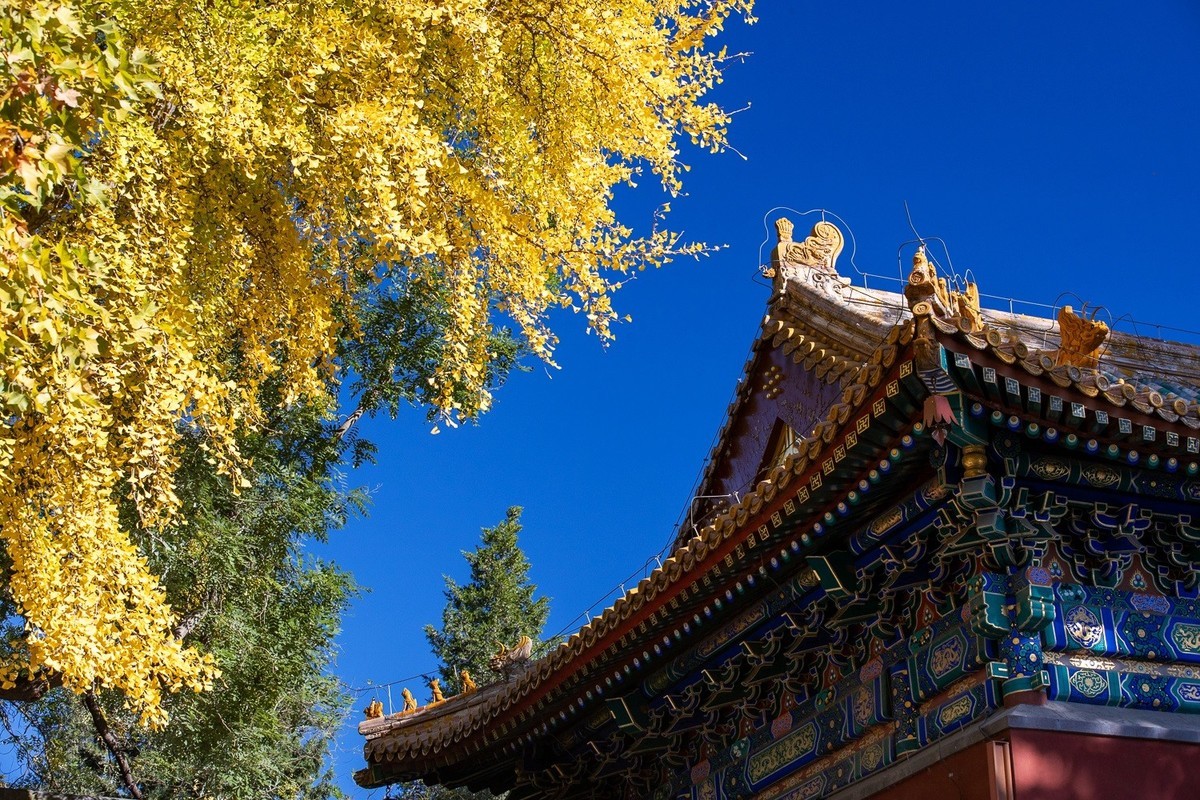 最是一年秋好处，绝胜烟柳满帝都。