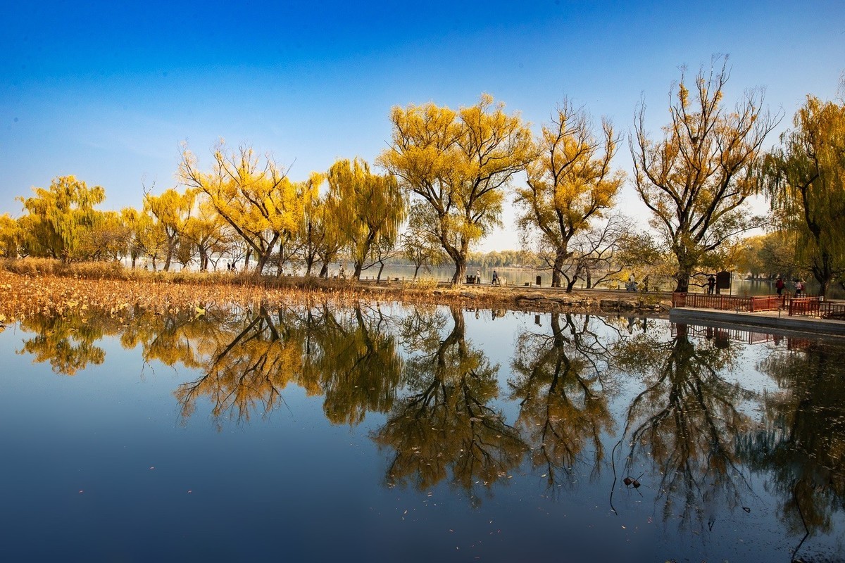 最是一年秋好处，绝胜烟柳满帝都。