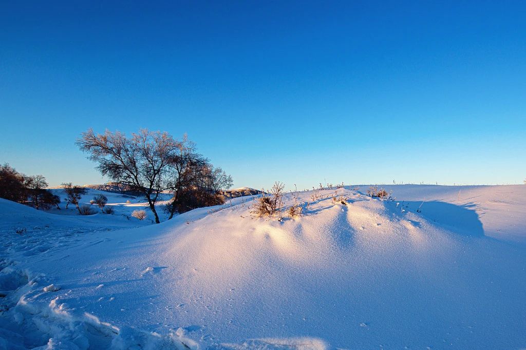 冬日京北草原大汗行宫景区风情