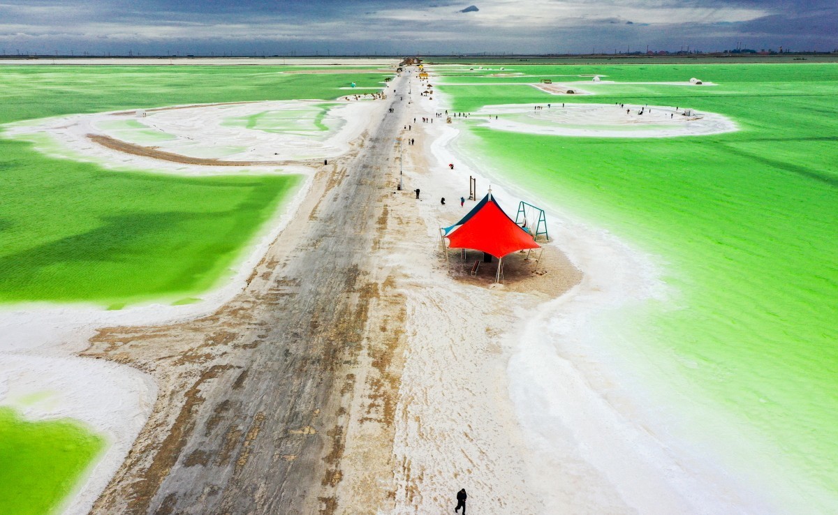 外出随拍（续230）.