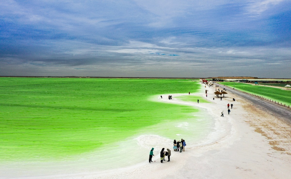 外出随拍（续230）.