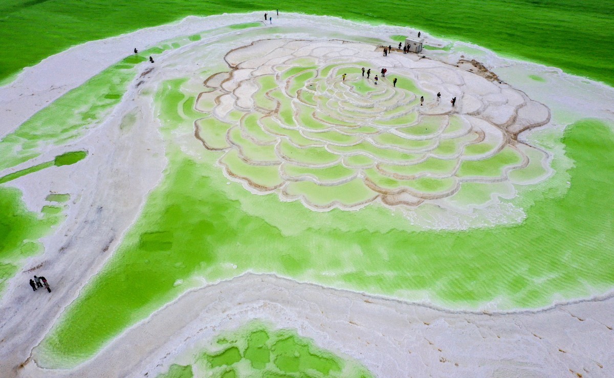 外出随拍（续230）.