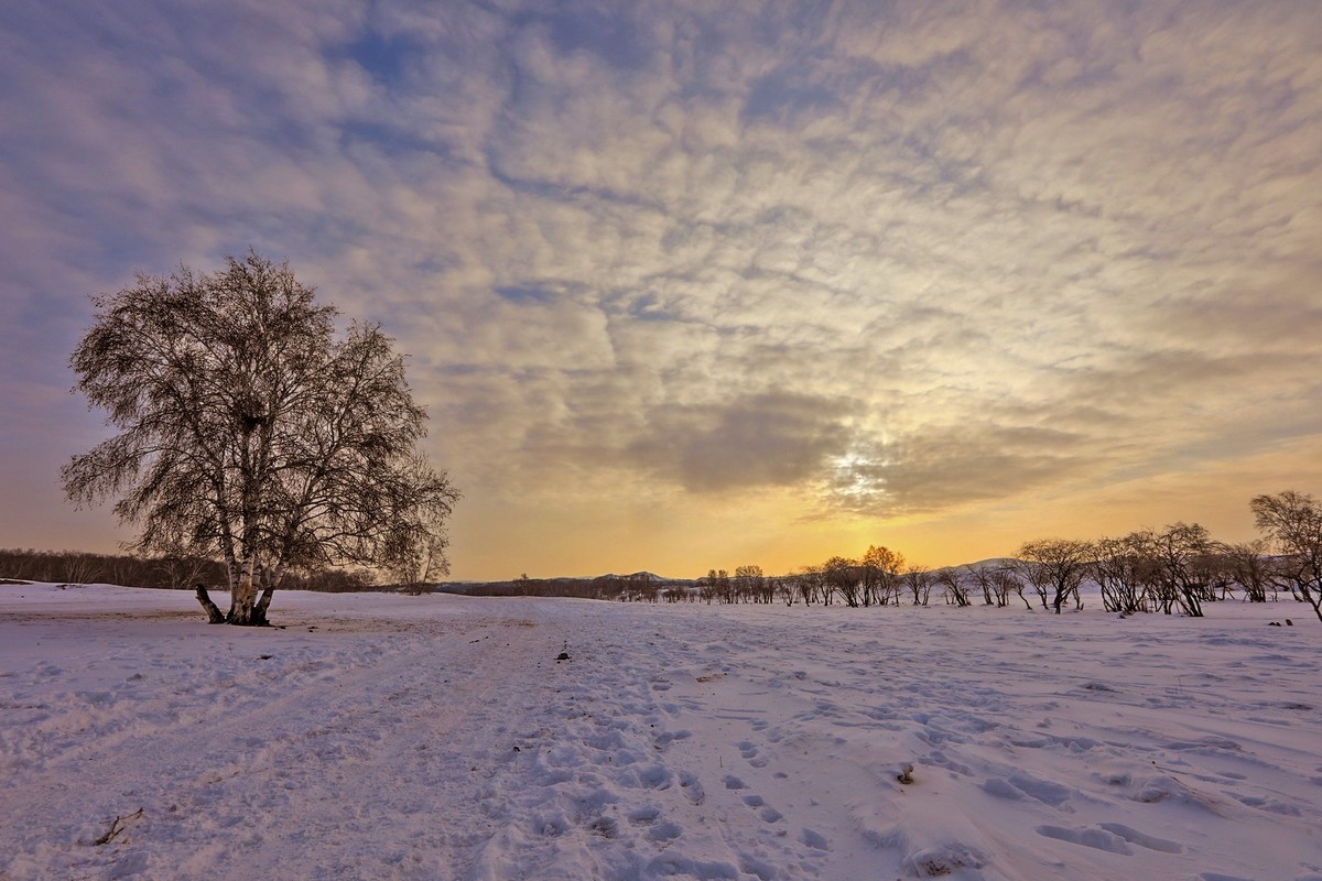 走乌兰布统路上随拍