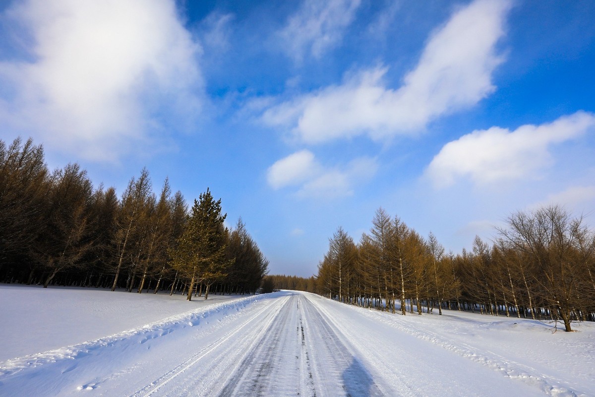 走乌兰布统路上随拍