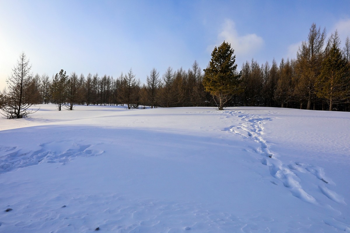 走乌兰布统路上随拍