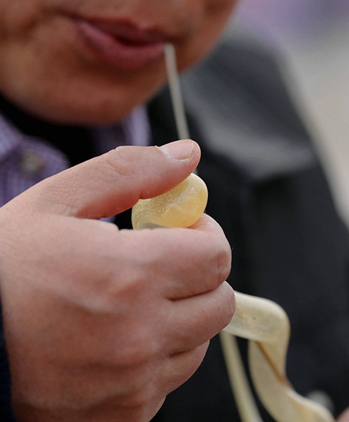 《不老松：纪实摄影》走马观花逛庙会：吹糖人！