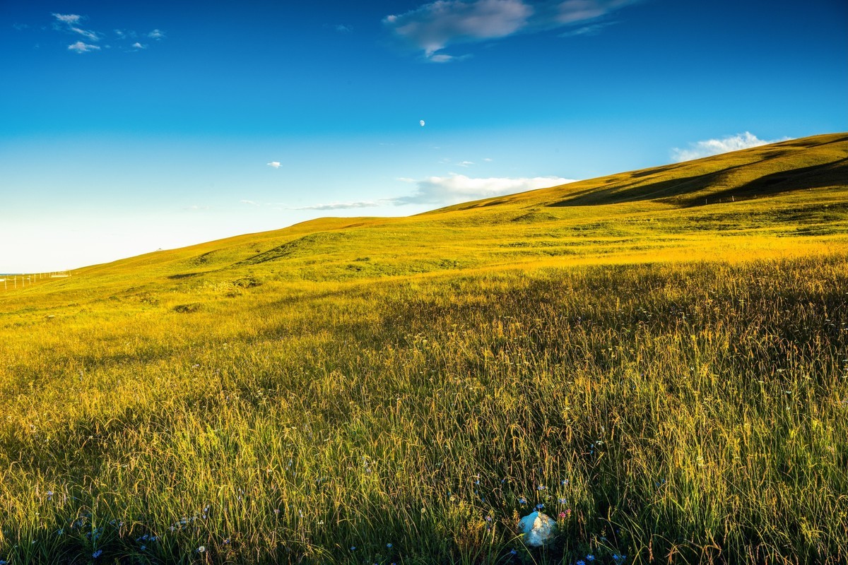 2023 青海湖边的随拍