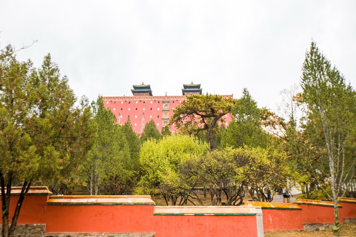 外出随拍（续317）.