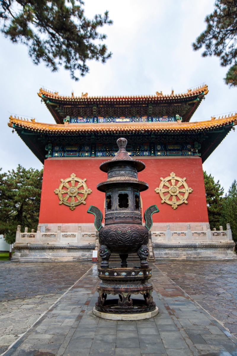 外出随拍（续317）.