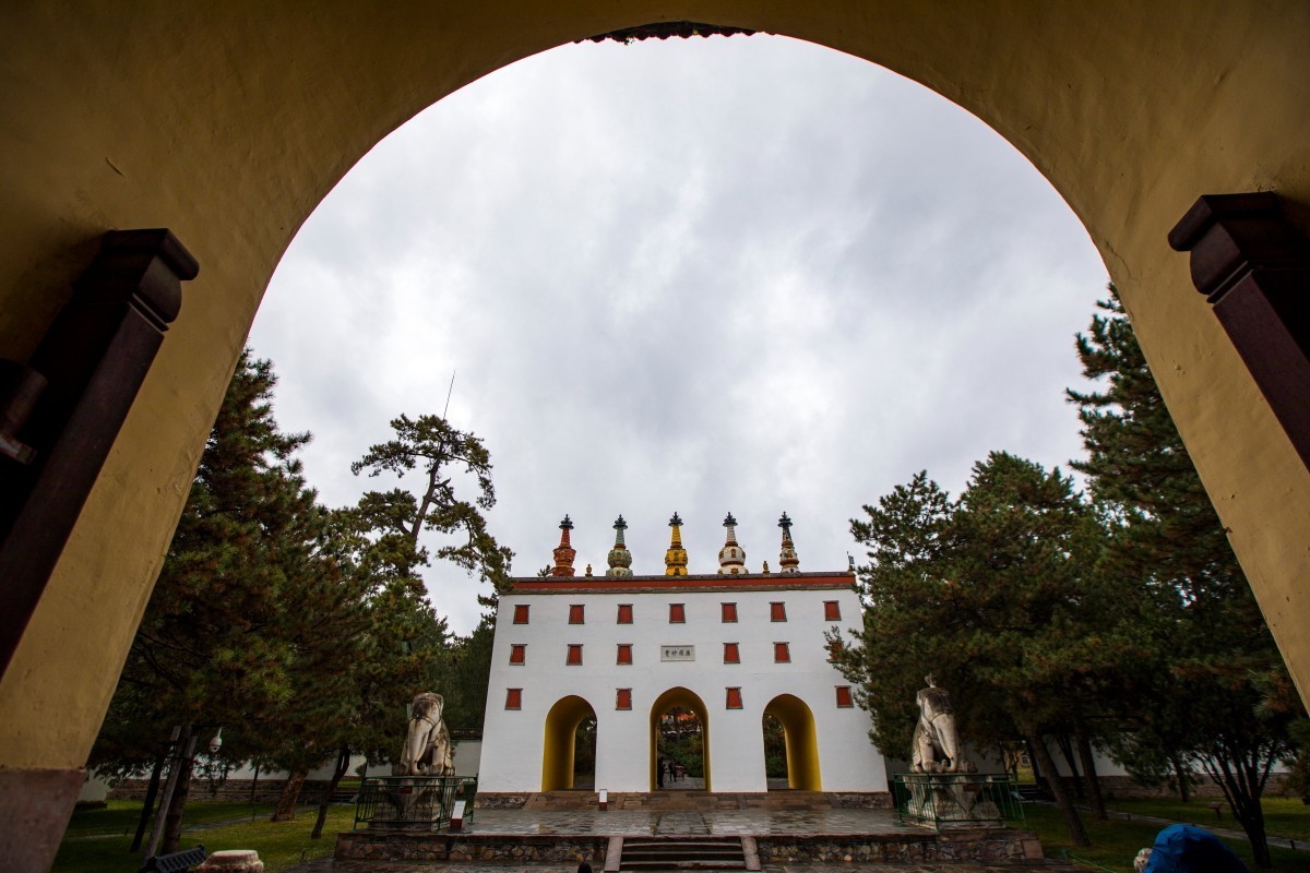 外出随拍（续317）.