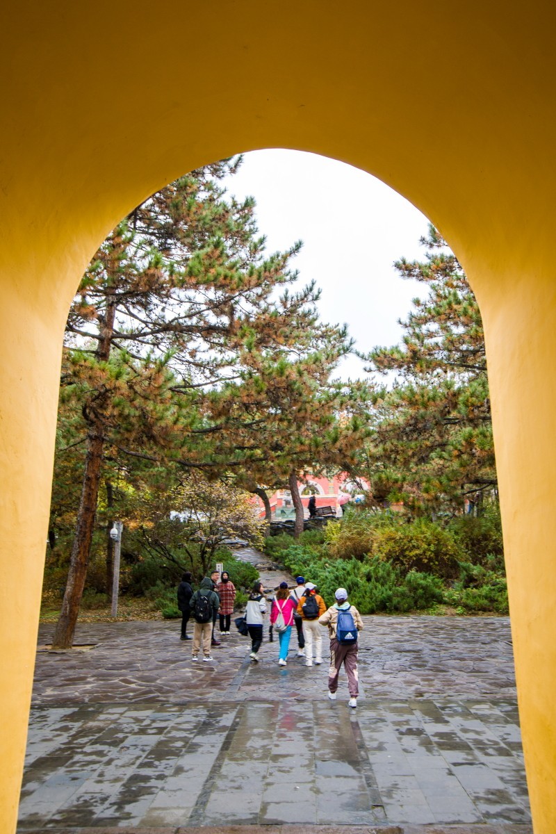 外出随拍（续317）.