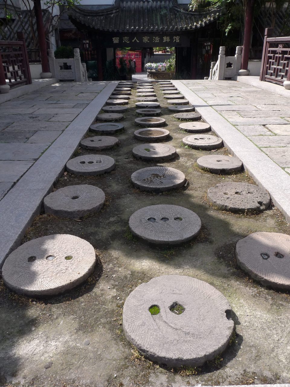 成都龙潭水乡再拍之二