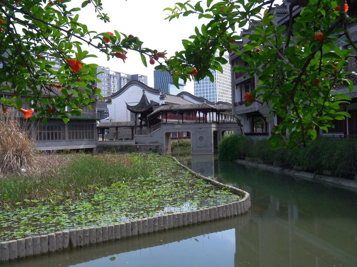 成都龙潭水乡再拍之二