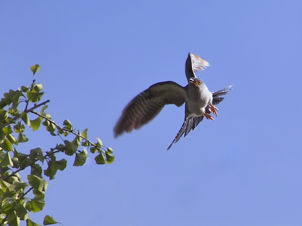 柯达，难以割舍得的色彩！(七)