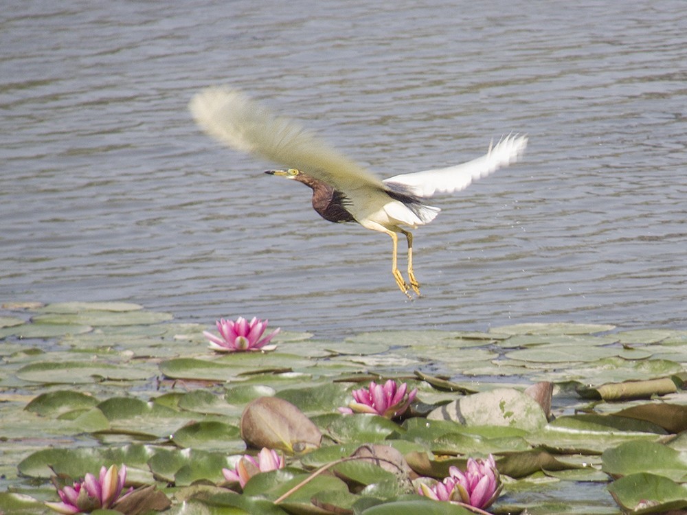 柯达，难以割舍得的色彩！(七)