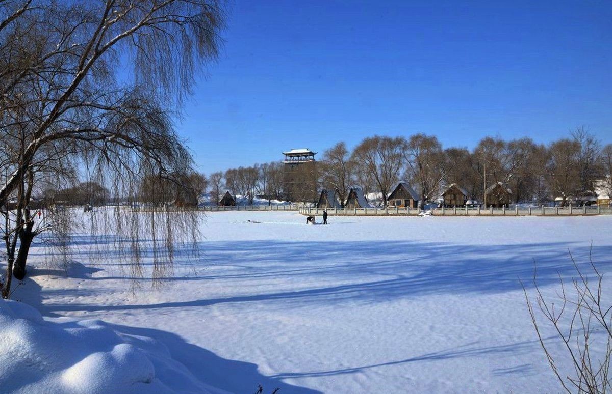 玄武湖之冬（2）