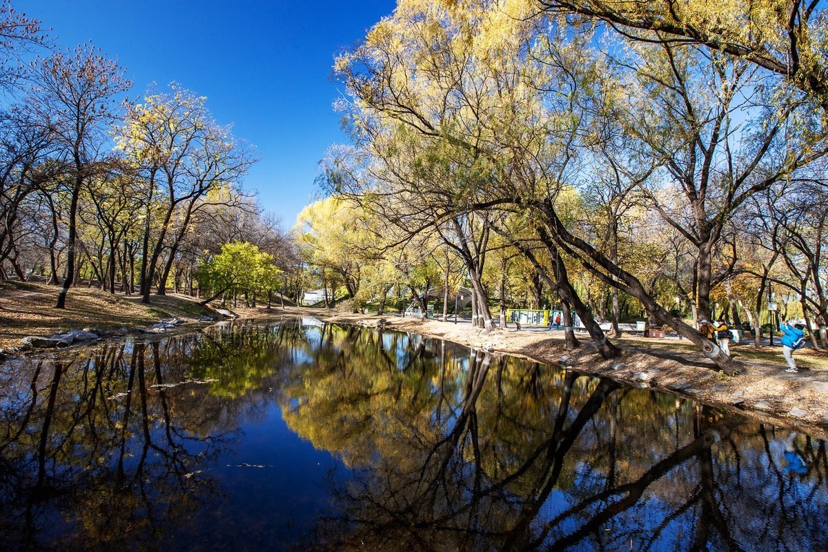 最是一年秋好处，绝胜烟柳满帝都。