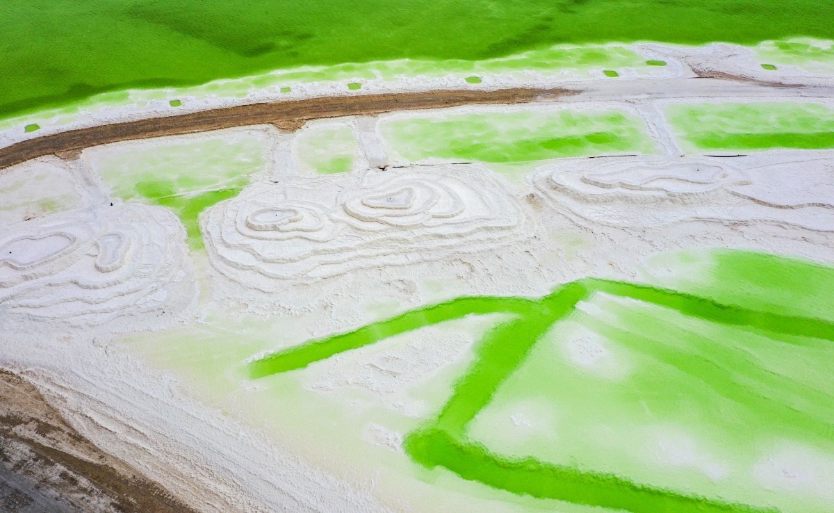 外出随拍（续230）.