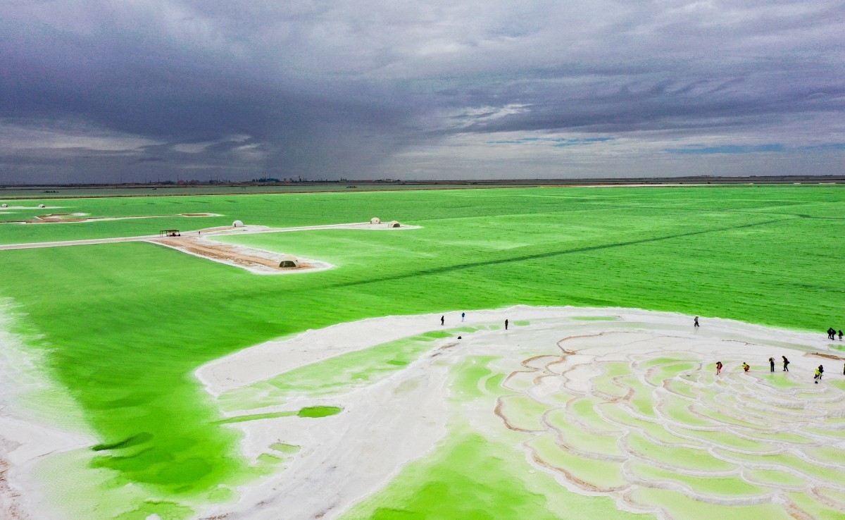 外出随拍（续230）.