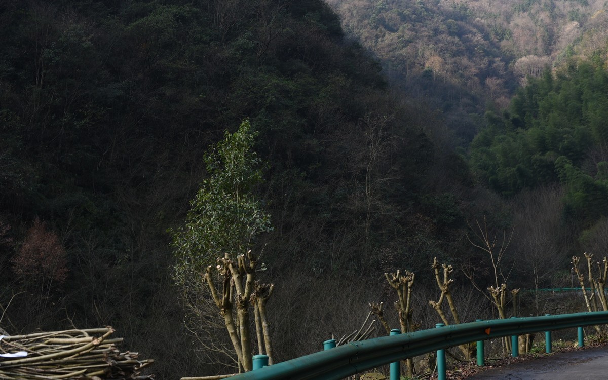 策马越桃岭--皖南川藏线纪行