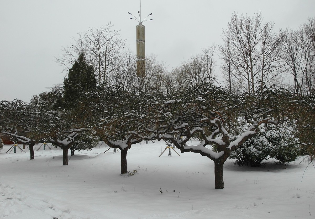 2020第二场雪-续15P