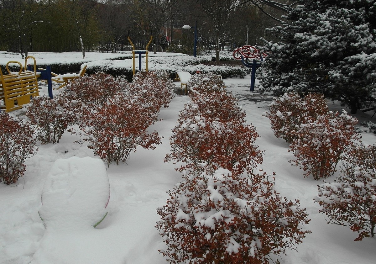 2020第二场雪-续15P