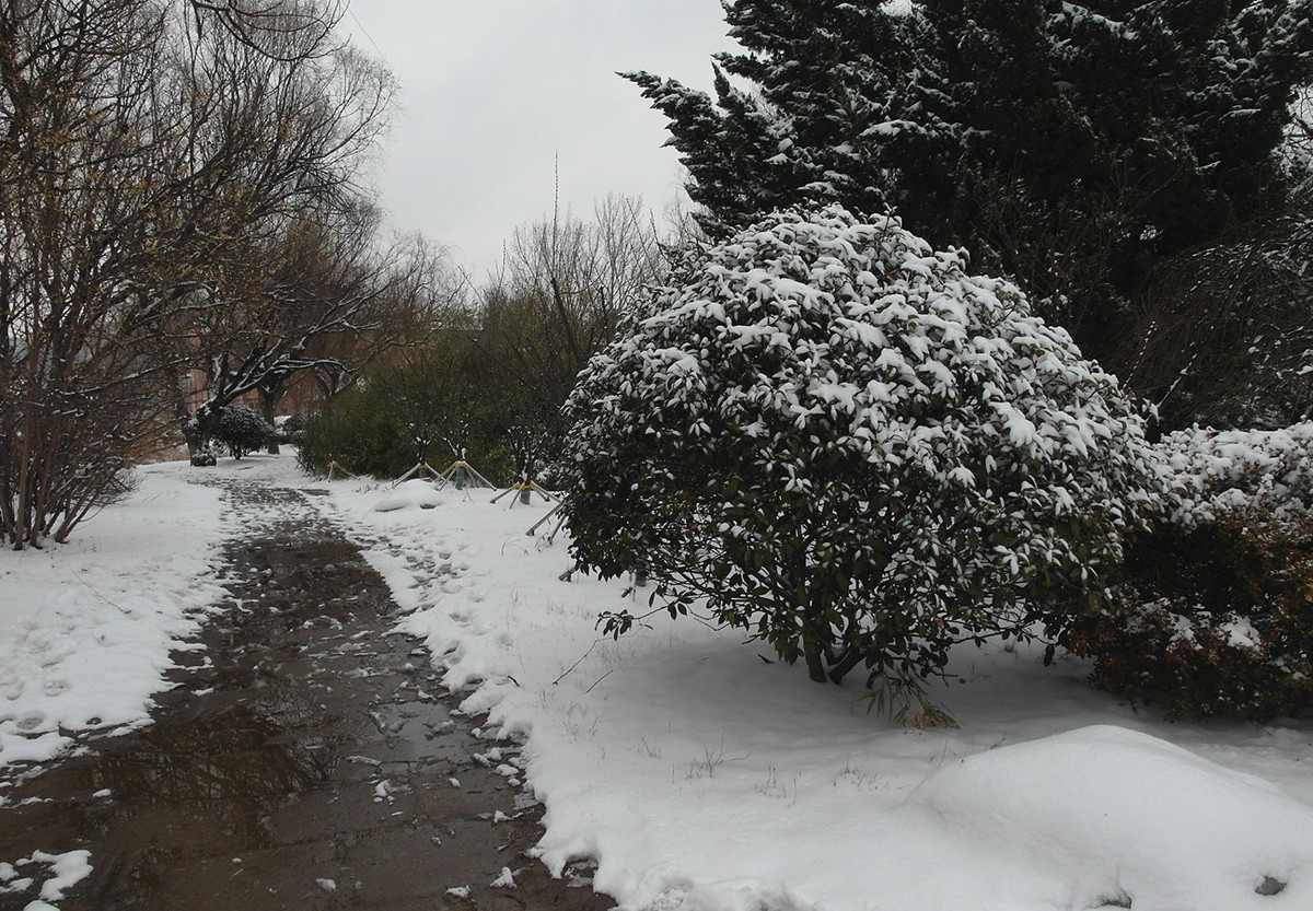 2020第二场雪-续15P