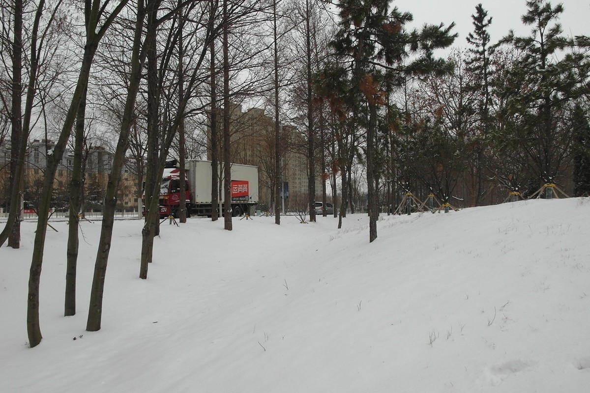 2020第二场雪-续15P