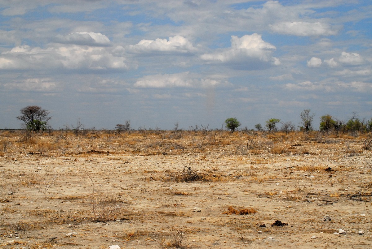 尼康D200，适马50-500镜头拍小动物。