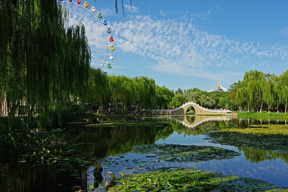 公园溜达闲拍