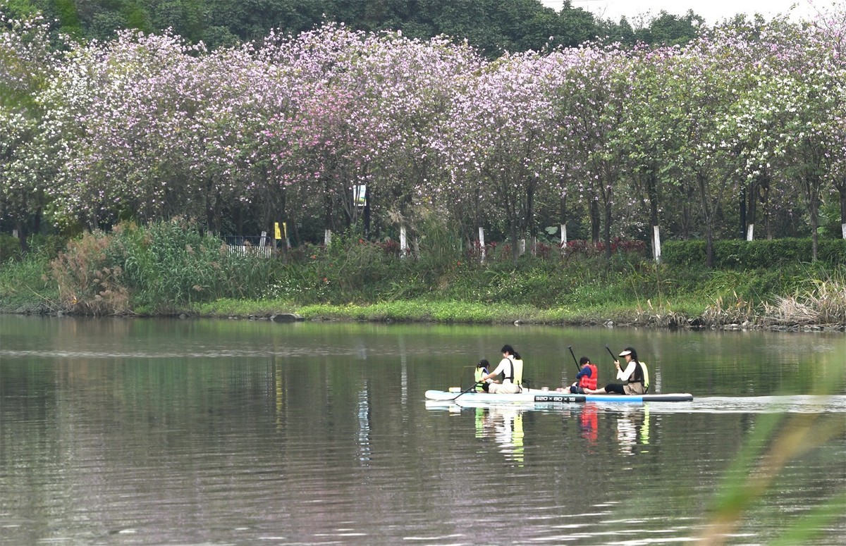 海珠湿地花似海
