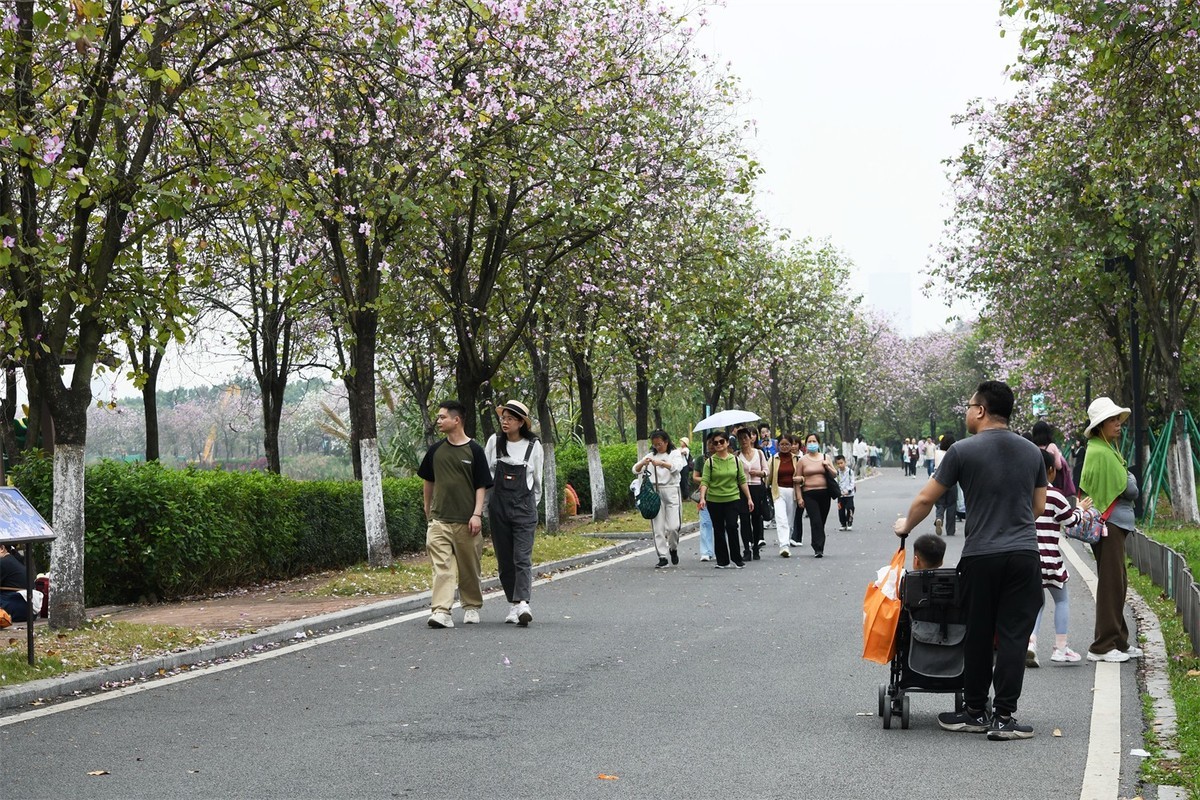 海珠湿地花似海