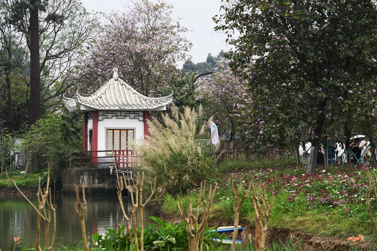 海珠湿地花似海