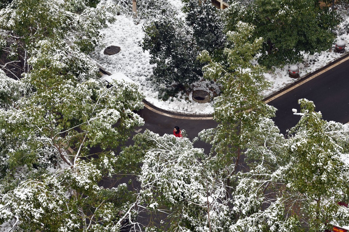 期待大雪
