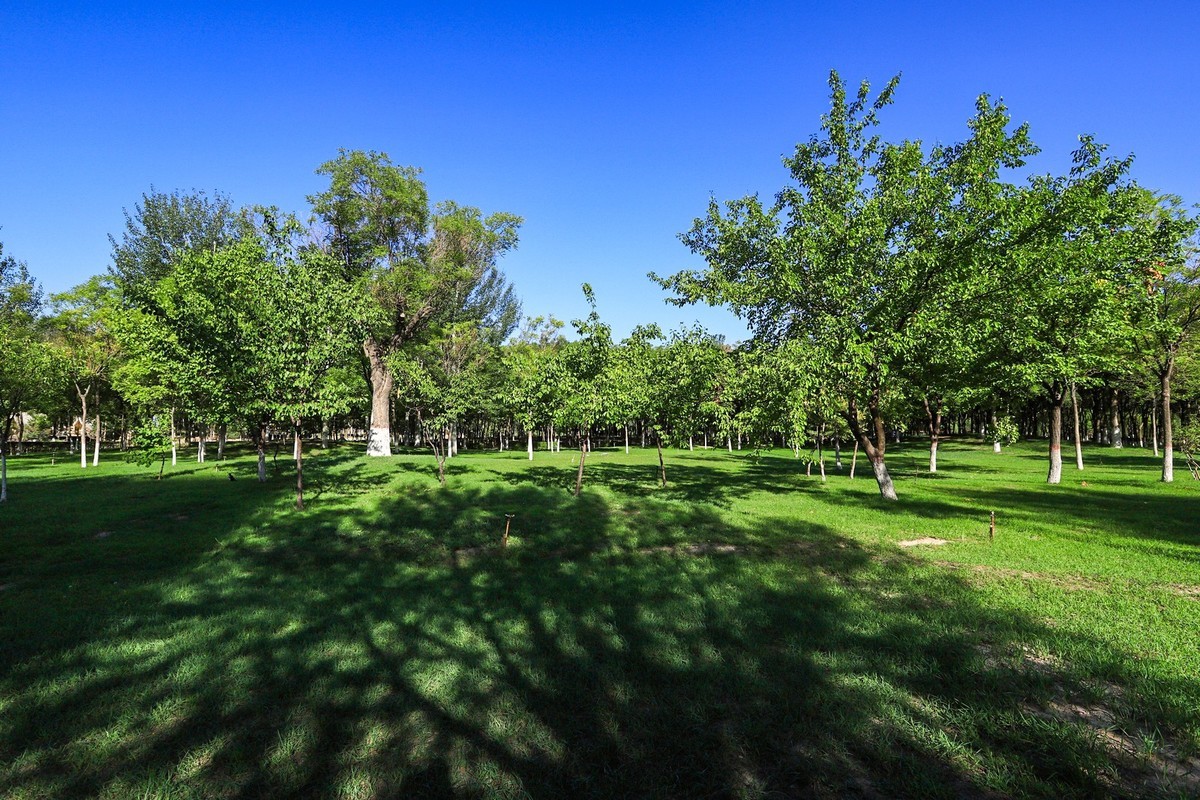 溜腿——溜机——溜乐趣（1）